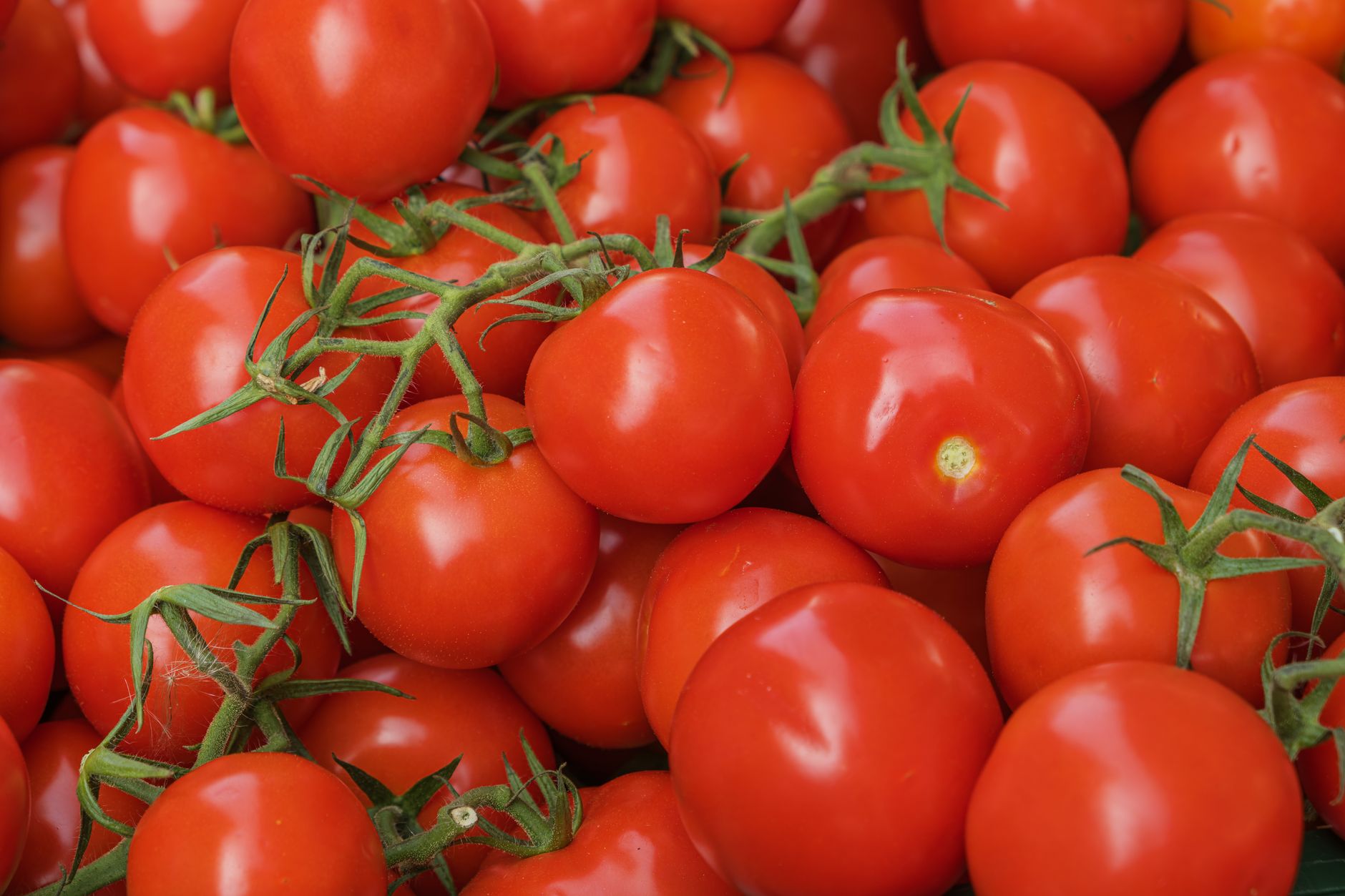 Boost Lycopene: Pair Tomatoes with Healthy Fats